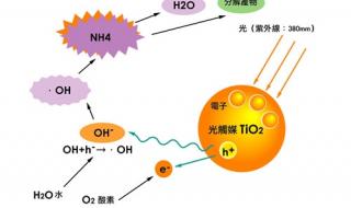 除甲醛方法